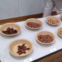 ナツメヤシとなつめ