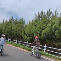 ◇GWに静岡から息子一家が帰省しました♪
