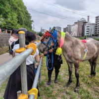 チャグチャグ馬コ2025