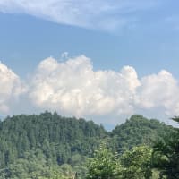 梅雨の晴れ間に大掃除