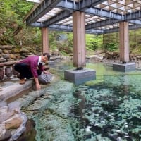 2025青森の旅その8（薬研温泉から大間へ）