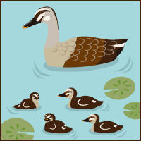 【ウォーキング】なかなか水鳥に会えない日だった