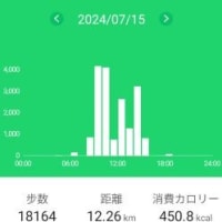 円山に登りました（30回目）