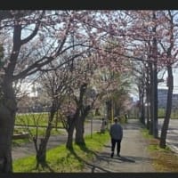 2025/04/07