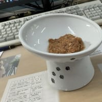 ねこ用斜めボウル
