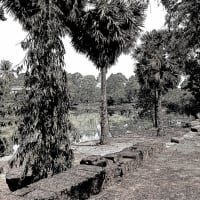 カンボジア遺跡巡りの記憶