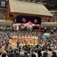相撲観戦