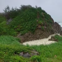 初夏のみちのくトレイル（1）