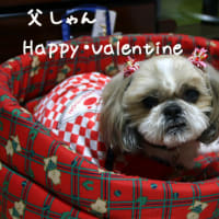 Happy・Valentine