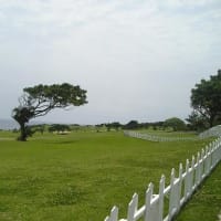 初夏だよ
