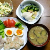 7/10　ばんごはん　塩豚