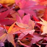 地震の支援について