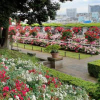 ★山手イタリア山庭園