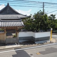 一念寺・・・鳥羽の大仏　　　京都市伏見区　　　2024.8.25 訪問