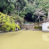 駅のホームにある神社　深沢銭洗弁天