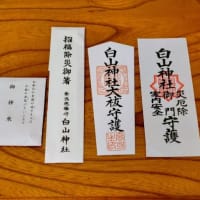 夏越の祓いと、季節のうつろい