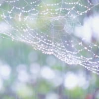 なないろの雨の朝