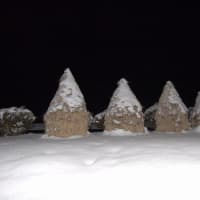 雪って冷たいにゃ　(οдО;)　
