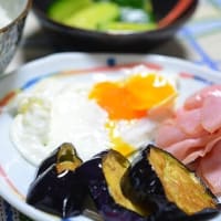 茄子の美味しい季節になりました
