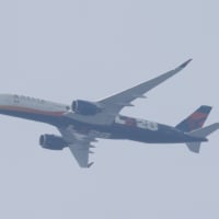 最近撮った特別塗装機（DELTA）