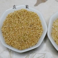 健康志向の主食　~ 玄米食・胚芽米の効果 ~
