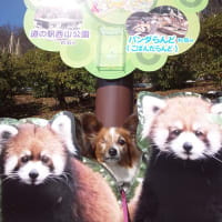 寒がりピー＆クー