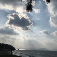 志賀海神社