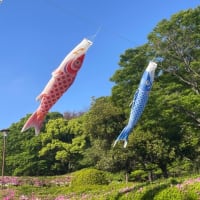 色々と