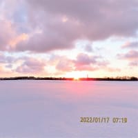 朝焼けに染まる雪原
