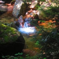 【#写ん歩クラブ】6月の4枚