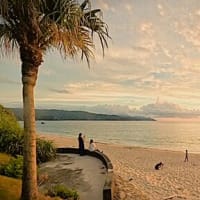 奄美市名瀬の「夕焼けが最も鮮やかになる時間帯」は「日没直後の薄明」