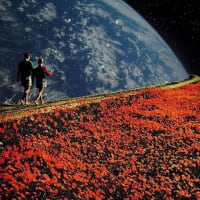 「バラマキ」