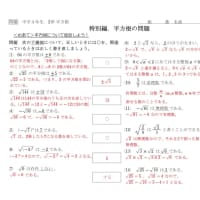 【中３】平方根_特別編_正誤問題