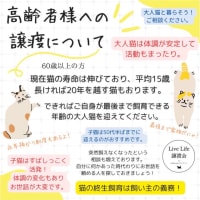 6/21リブライフ譲渡会ありがとうございました！