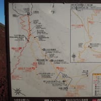 蓬莱富士山登山　写真 　2015.07.30　3日目　中編　「235」