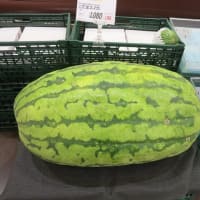 大きな西瓜