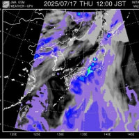 梅雨では無く、もう雨季では？