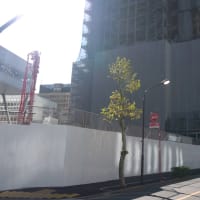 （仮称）虎ノ門ヒルズステーションタワー　Ａ－３街区棟の進捗状況　２０２２年１１月２４日