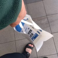 きれいさっぱり、春の訪れ