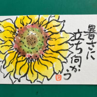 元気なひまわり