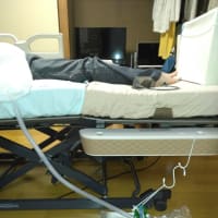 経過報告　④　もう少しだったのにー😢