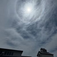 別邸わんこ日和の上に日暈（ハロ）