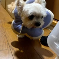 時々、妙な事に疑問を持つ漢！