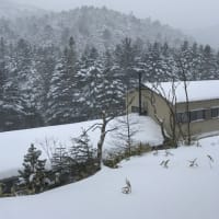 【双子池ヒュッテ】 積雪量&気温情報 (2023.1.27)