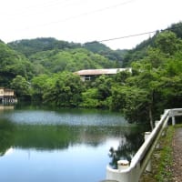 初夏の鎌北湖を見に行ってきました　後編