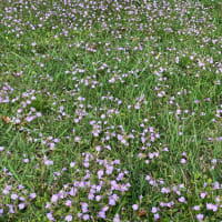 自分が変わると受け取るものも変わる