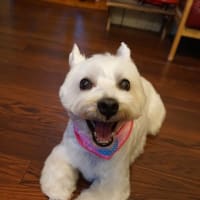 【２０２５年６月１０日・サク】