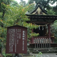 2025年5月18日(日) 筑波山神社の風景　新緑の候、登山客が多かった