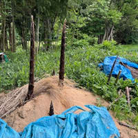 竹藪からゴミ発掘