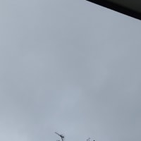 頭痛DAYかな